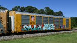 TTGX 698906
